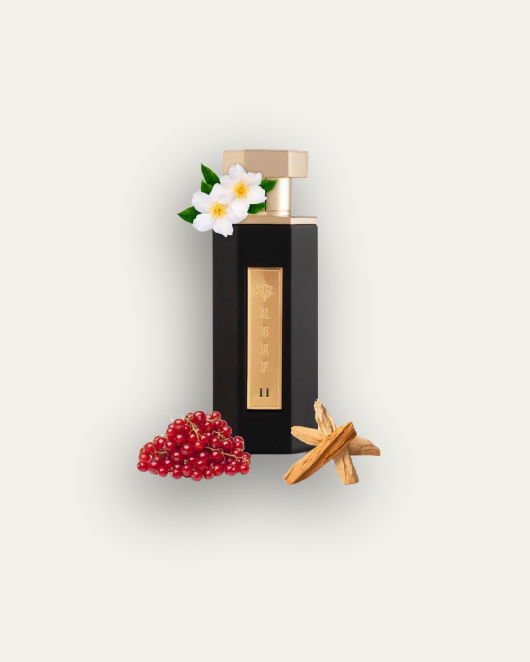 11 200ml EDP by Reef