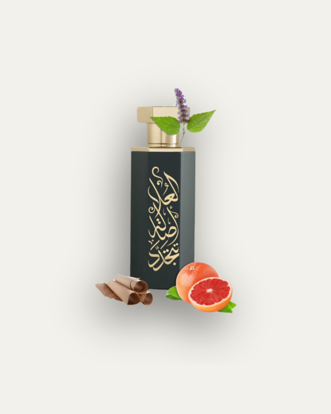 Arabs of Al Ula 200ml EDP by Reef